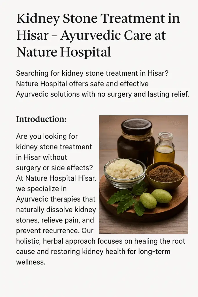 Ayurvedic kidney stone treatment in Hisar at Nature Hospital