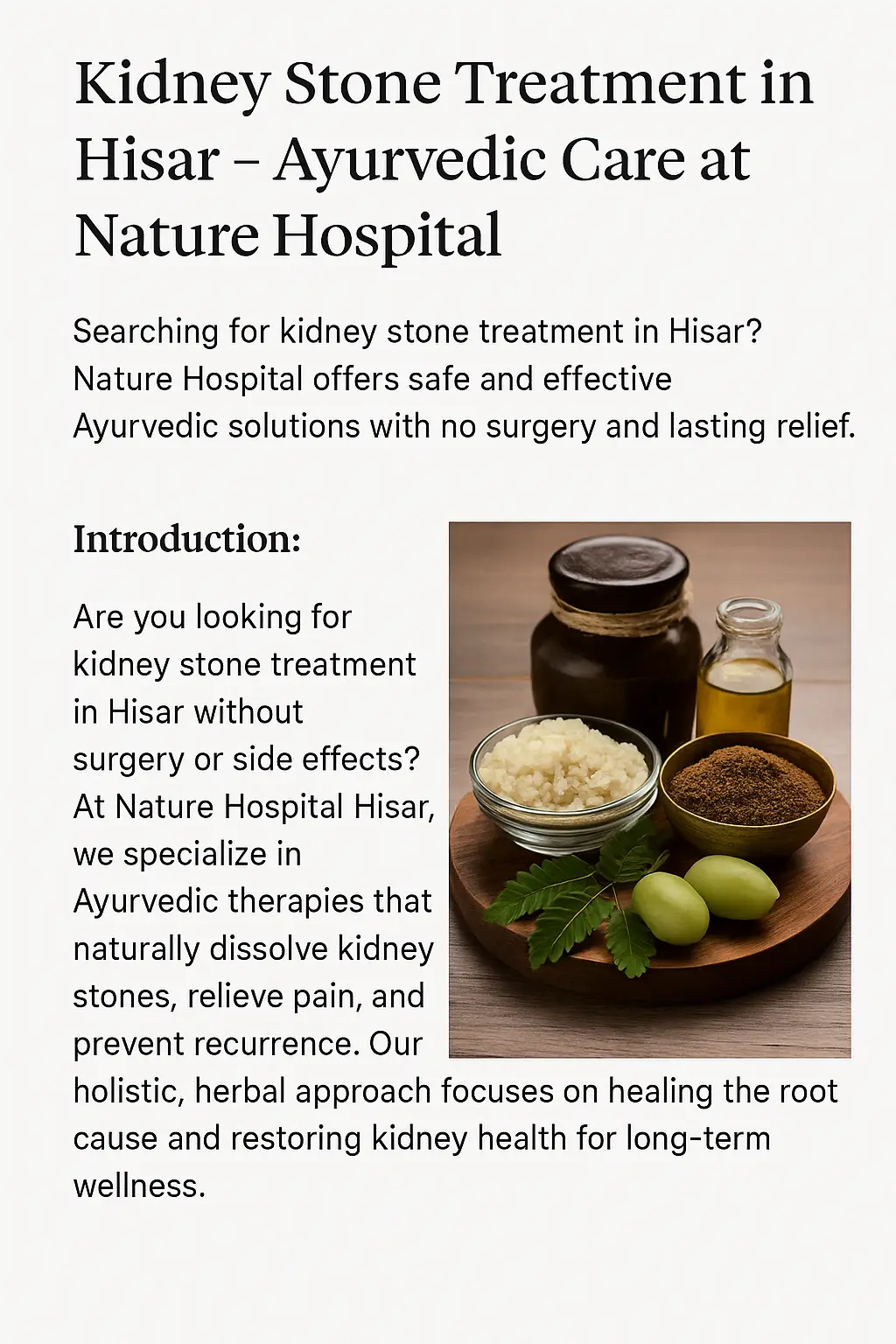Ayurvedic kidney stone treatment in Hisar at Nature Hospital